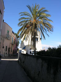 Casa Vacanze La Zagara isola di Procida