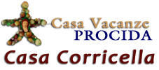 Casa Vacanze Procida Casa Corricella Appartamento Confortevole a Marina Corricella sul mare