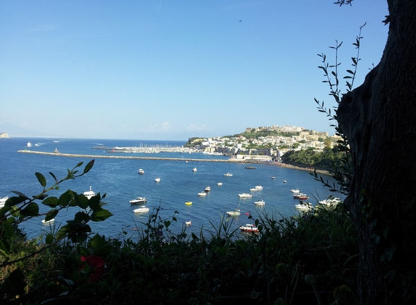 B&B Procida La Casa di Baba