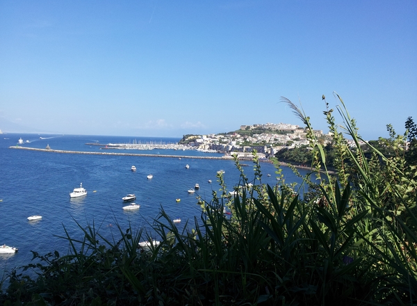 B&B Procida La Casa di Baba