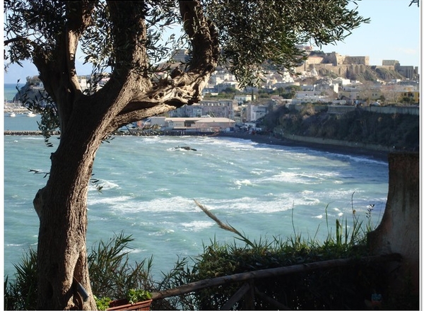B&B Procida La Casa di Baba