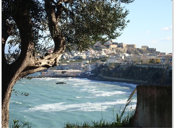 B&B Procida La Casa di Baba