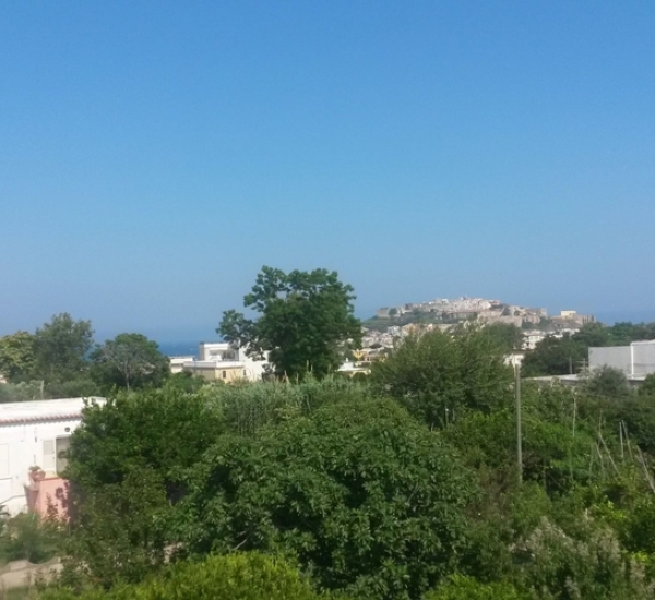 Case Vacanza La Procidana Isola di Procida