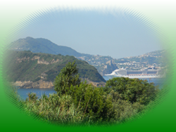 Case Vacanza Procida Procidahouse Appartamenti, Monolocali, Bilocali a Ciraccio vicino alle spiagge di Ciraccio e del Pozzovecchio Procida