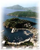 Marina Chiaiolella Chiaiolella Porto di Diporto Spiaggia Ciraccio Chiesa di San Giuseppe Isola di Vivara Stabilimenti Balneari Chiaiolella Procida