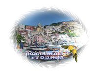 escursioni procida,guida turistica procida,case vacanza procida,organizzazione eventi procida,organizzazione matrimoni procida,prenotazioni hotels procida,affitti settimanali procida,affitti stagionali procida