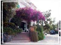 Procida hotel Riviera,hotel Riviera Procida,albergo Riviera,hotels a Procida,Procida hotels,hotel a Procida,hotels a Procida,albergo a Procida,alberghia  Procida,Procida alberghi,Procida albergo,ischia,isola di procida,prenotazioni,pensione,mezza pensione,bred and breakfast,prenotare albergo a procida,prenotazioni hotels