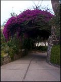 Procida, hotel Riviera
