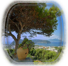 Hotel Riviera Procida hotel albergo a Marina Chiaiolella Isola di Procida
