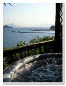 Htel Residence Tirreno Htel le de Procida Via Faro dans le vert et la mer Htels 3 etoiles Procida Naples Italie