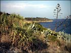 Procida: itinerario le bellezze naturali. Isola di Vivara, Panoramica, Solchiaro, Cottimo, Sentieri naturalistici