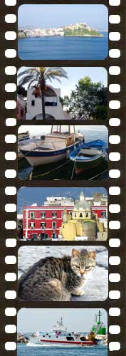 Le foto pi&ugrave; belle di Procida, gli eventi, i particolari, il mare nei click di Procidabiz!