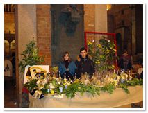 Limoncello di Procida Azienda Agricola Lubrano Lavadera Liquore al Limone Babà al Limoncello Crema al Limone Ricetta Limoncello Procida