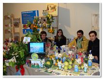 Limoncello di Procida Azienda Agricola Lubrano Lavadera Liquore al Limone Babà al Limoncello Crema al Limone Ricetta Limoncello Procida