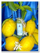 Limoncello di Procida Azienda Agricola Lubrano Lavadera Liquore al Limone Babà al Limoncello Crema al Limone Ricetta Limoncello Procida