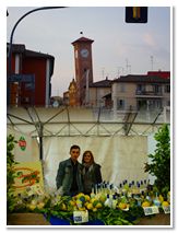 Limoncello di Procida Azienda Agricola Lubrano Lavadera Liquore al Limone Babà al Limoncello Crema al Limone Ricetta Limoncello Procida