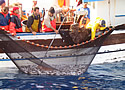 procida barca vela, noleggio barca vela procida, vacanza barca vela procida,procida barche vela usate, barca vela usato, noleggio barche a vela, scuola vela, crociera barca vela, vacanza vela, vela motore, barca vela laser, corsi vela, noleggio barca vela sardegna, usato vela, usato barca vela, annuncio vendita barca vela, barche vela vendita, crociera vela, barca vela croazia, vela vacanza, prezzo weekend barca vela, nautica vela, sardegna barca vela, noleggio vela, barca vela usata, affitto barca vela, vela scuola, volo a vela, charter barche a vela, manuale barca vela, laser barca vela, mini crociera barca vela, charter vela, vacanza barca vela grecia, giornale della vela, vendesi barca a vela, barca vela vendo, vele windsurf, vela usato, federazione italiana vela, canoe vela, vendita vela, crociera barca vela italia, foto barche a vela, progetti barca vela, noleggio barca vela vacanza palermo, vacanza barche vela caraibi, vendo barca vela 1000, barca vela palermo, barche a vela in legno, vela barca