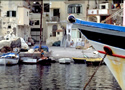procida barca vela, noleggio barca vela procida, vacanza barca vela procida,procida barche vela usate, barca vela usato, noleggio barche a vela, scuola vela, crociera barca vela, vacanza vela, vela motore, barca vela laser, corsi vela, noleggio barca vela sardegna, usato vela, usato barca vela, annuncio vendita barca vela, barche vela vendita, crociera vela, barca vela croazia, vela vacanza, prezzo weekend barca vela, nautica vela, sardegna barca vela, noleggio vela, barca vela usata, affitto barca vela, vela scuola, volo a vela, charter barche a vela, manuale barca vela, laser barca vela, mini crociera barca vela, charter vela, vacanza barca vela grecia, giornale della vela, vendesi barca a vela, barca vela vendo, vele windsurf, vela usato, federazione italiana vela, canoe vela, vendita vela, crociera barca vela italia, foto barche a vela, progetti barca vela, noleggio barca vela vacanza palermo, vacanza barche vela caraibi, vendo barca vela 1000, barca vela palermo, barche a vela in legno, vela barca