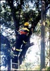 Protezione Civile di Procida: gli interventi