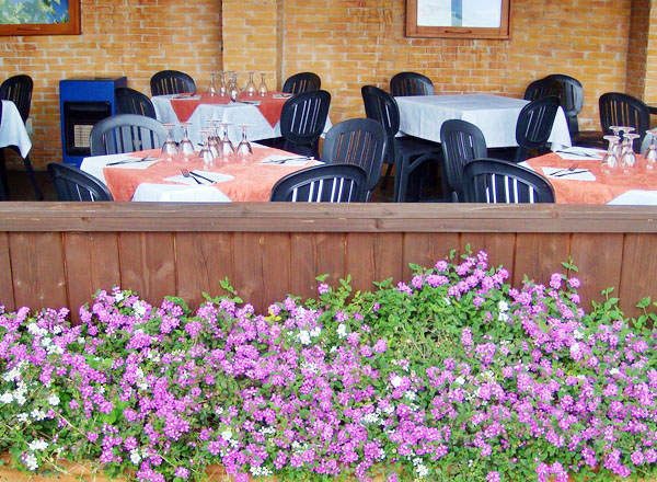 906497_599806636697020_866736502_o